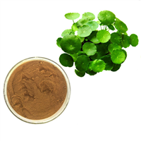 Centella Asiatica Whole Herb Extract Powder