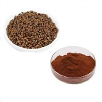 Grape Seed Extract Powder from Factory