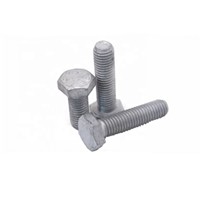 Carbon Steel Hot Dip Galvanized Hex Bolt with Nut & Washer DIN933