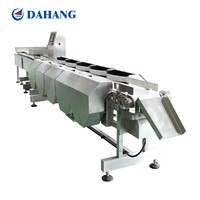 Sorting Machine by Weight with High Efficiency