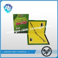 China Mouse Glue Trap, Rat Glue Board Pad Stciky Trap Supplier
