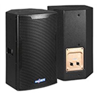 10 Inch Professional PA Loudspeaker System BP-10