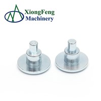 Non-Standard Stainless Steel Cold Forging Parts Cold Forging Aluminum Parts Made In China
