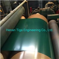 China Factory Grass Printed Prepainted Plate Color Coated Steel Coils