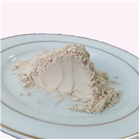 Organic Rice Protein Powder Vegan Protein Powder