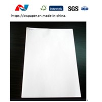 White Plotter Paper Roll Wholesale Supplier in China