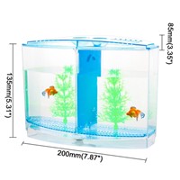 Best Double Betta Fish Tank 2020