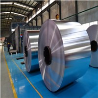 Aluminum Coil &amp; Roll for Making Beverage Can