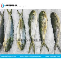 MAHI MAHI - CORYPHAENA HIPPURUS SEAFOOD - PORTION - FILLET - WGG - STEAK - WHOLE FISH FROZEN
