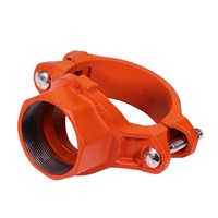 Ductile Iron Pipe Fittings Threaded Outlet Mechanical Tee