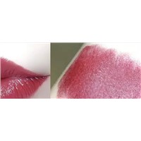 Lipstick Woman Lasting Moisture Not Easy to Pull Out Dry Lipstick