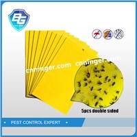 Insect Glue Traps Manufacturer, Yellow Sticky Board for Flying Insects