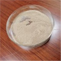 Raw Material 4-Amino-3, 5-Dichloroacetophenone CAS 37148-48-4