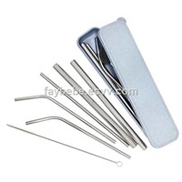 Stainless Steel Straw Set with Case