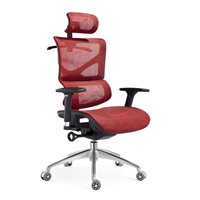 High Back Office Furniture Ergonomic Mesh Executive Chair LJ-910A
