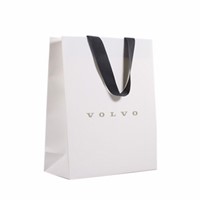 Wholesale Cheap Price Luxury Famous Packaging Portable Paper Bag