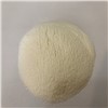 Manufacturer Sweeten Condensed Milk Powder