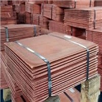High Pure Electrolytic Copper Cathode 99.99%