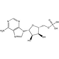High Quality Adenosine 5'-Monophosphate(AMP-H)CAS NO. 61-19-8