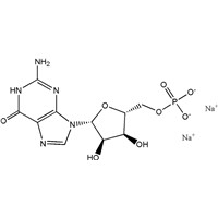 High Quality Guanosine 5'-Monophosphate(GMP-H) CAS NO. 5550-12-9