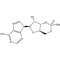 High Quality Adenosine 3', -5'-Cyclic Monophosphate Sodium Salt (CAMP-Na) CAS NO. 37839-81-9