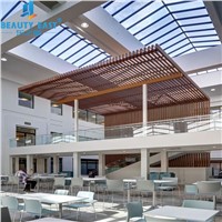New Styles Aluminum Baffle Ceiling Panels for Interior Wall/Ceiling Decoration