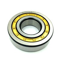 NU203~NU244 17mm~ 75mm Cylindrical Roller Bearings