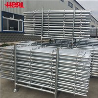 China Ringlock Scaffolding Manufacturer Scaffold Supplier
