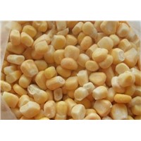 Hot Sell Bulk Frozen Sweet Corn Kernels with Cheap Price