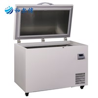 220L -65 Degree Chest Deep Freezer for Commerical Use