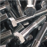 Supply High Quality Bolt &amp;amp; Nut with Best Price
