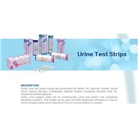 Urine Reagent Strip/Urine Test Strip