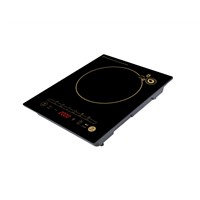 New Hot Selling Induction Cooker