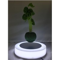New Factory Sale Magnetic Levitation Air Bonsai Plant Pot Flower Pot