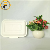Factory Outlet Eco-Friendly Portable Disposable Paper Pulp Bento Takeout Box 1000ml Fast Food Lunch Box