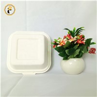Factory Outlet 8.5 Inch Embossing Leakproof Sugarcane Bagasse Food Container Box Paper Bento Lunch Box