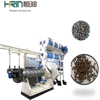 Double Screw Feed Extruder for Floating &amp;amp; Sinking Feed Production