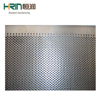 Screen Sieve for Hammer Mill Separate Feed Size