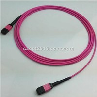 Fiber Optic Patchcord MPO-MPO MTP-MTP OM4 12 24 Cores