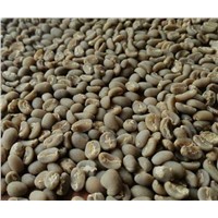 High Quality Green Coffee Beans for Sale