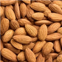 Raw Organic Almond Nuts for Sale