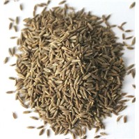 Supreme Quality Organic Cumin Seeds