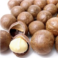 Top Quality Macadamia Nuts Price