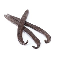 Organic Vanilla Beans for Sale