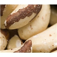Very High Quality Organic Brazil Nuts