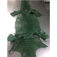 Genuine Alligator Skin Leather