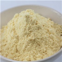 Organic Soybean Milk Powder for Sale