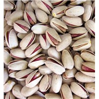 Raw Organic Pistachio Nut Kernels