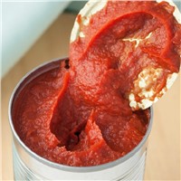 Pure Organic Canned Tomato Paste