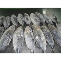 Whole &amp;amp; Processed Frozen Tuna Fish